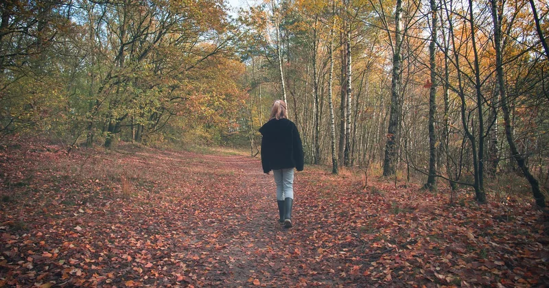 Saisonnalité et équipement : ce que personne ne vous dit