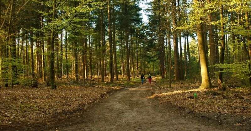 Meilleures destinations nature en famille en Europe : le top à découvrir